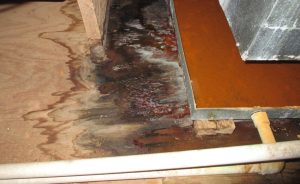 san antonio water damage tx