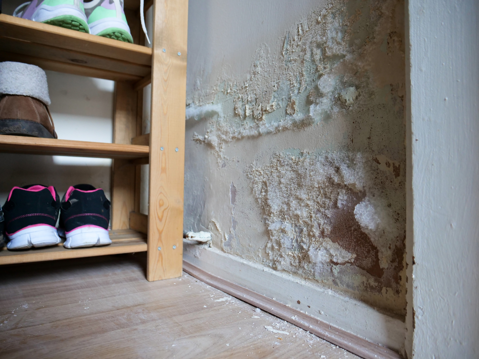 water damaged walls in san antonio tx